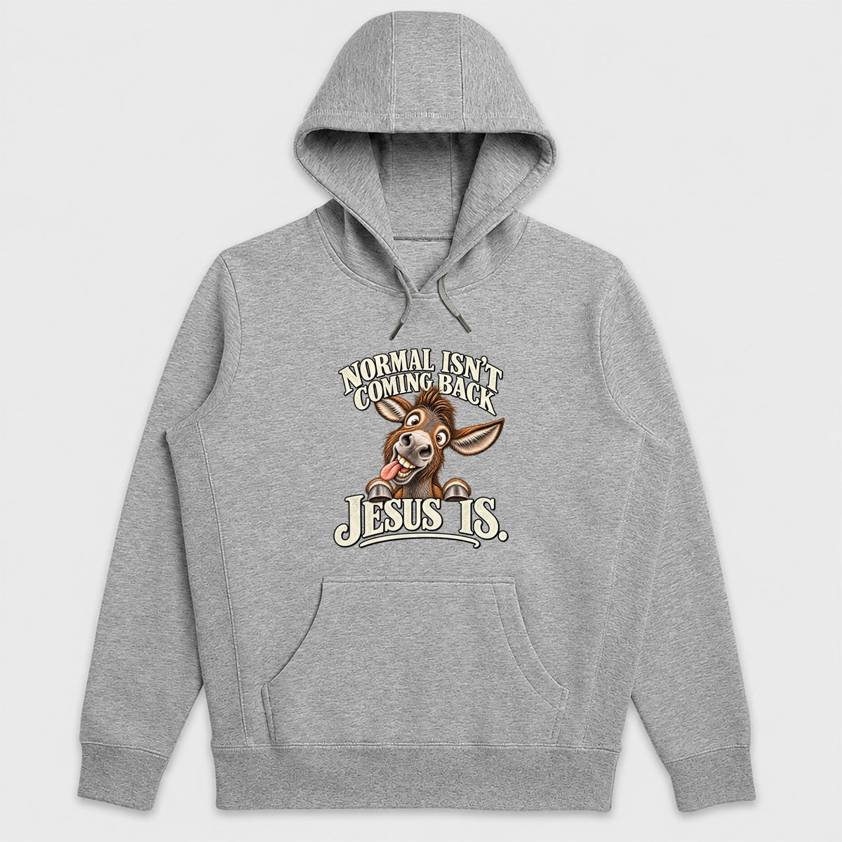 Normal Isn't Coming Back Jesus Is, Gift For Christian Believers - 2D Unisex Hoodie