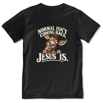 Normal Isn't Coming Back Jesus Is, Gift For Christian Farmer | 2D Unisex T-shirt