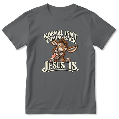 Normal Isn't Coming Back Jesus Is, Gift For Christian Farmer | 2D Unisex T-shirt