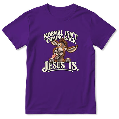 Normal Isn't Coming Back Jesus Is, Gift For Christian Farmer | 2D Unisex T-shirt