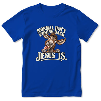 Normal Isn't Coming Back Jesus Is, Gift For Christian Farmer | 2D Unisex T-shirt
