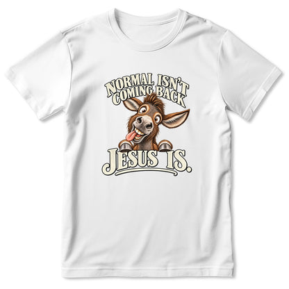 Normal Isn't Coming Back Jesus Is, Gift For Christian Farmer | 2D Unisex T-shirt