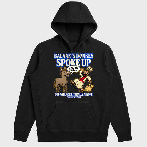 Balaam's Donkey Spoke Up God Will Use Literally Anyone, Numbers 22:28, Gift For Youth Group Leaders - 2D Unisex Hoodie