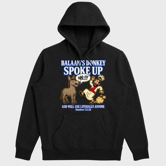 Balaam's Donkey Spoke Up God Will Use Literally Anyone, Numbers 22:28, Gift For Youth Group Leaders - 2D Unisex Hoodie
