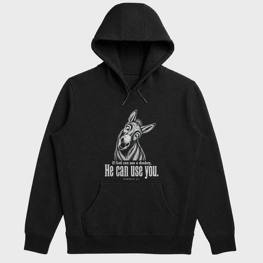 If God Can Use A Donkey He Can Use You, Numbers 22, Gift For Christian Men, Women, Youth Group, Funny Faith Friends| 2D Unisex Hoodie