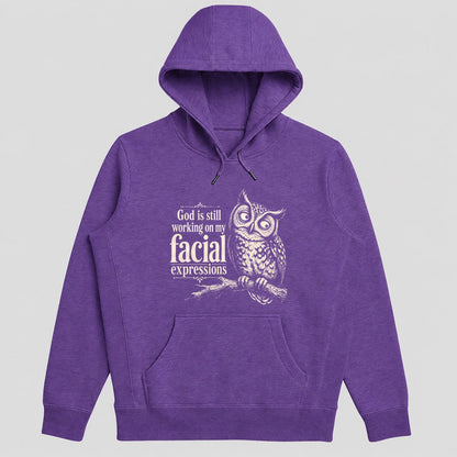 God Is Still Working On My Facial Expressions, Gift For Christian Owl Lovers - 2D Unisex Hoodie