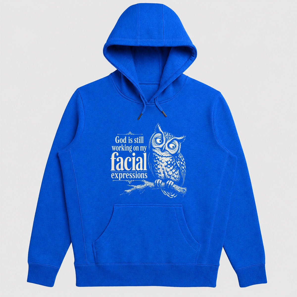 God Is Still Working On My Facial Expressions, Gift For Christian Owl Lovers - 2D Unisex Hoodie