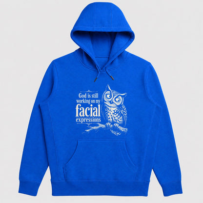 God Is Still Working On My Facial Expressions, Gift For Christian Owl Lovers - 2D Unisex Hoodie