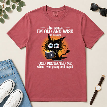 God Protected Me When I Was Young And Stupid, Gift For Christian Grandparents - 2D Unisex Garment-dyed T-shirt
