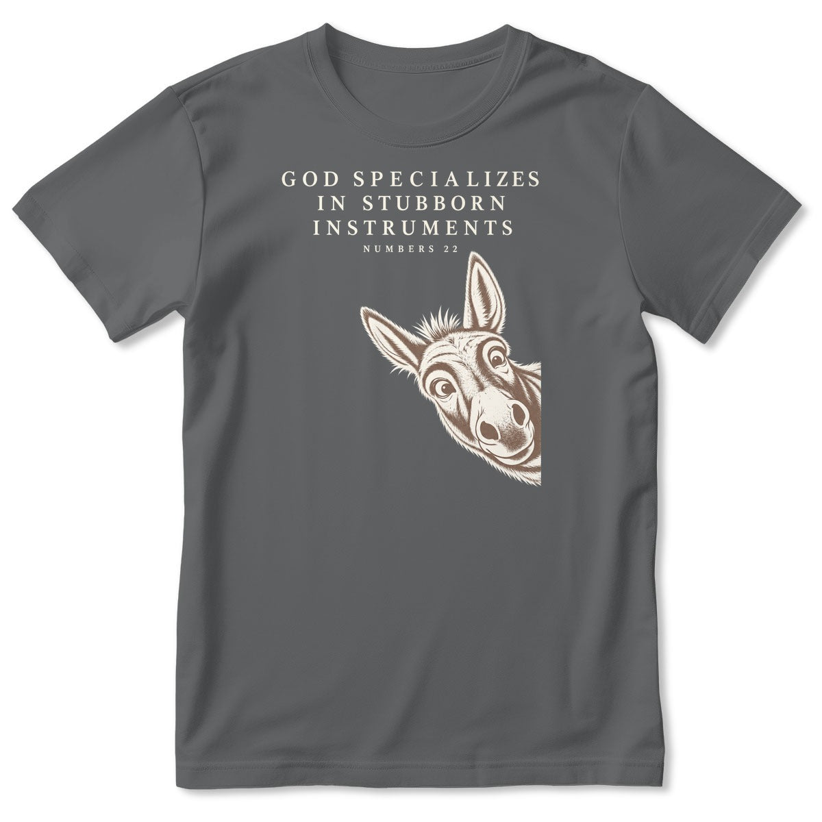 God Specializes In Stubborn Instruments Numbers 22 Donkey, Gift For Christian Bible Humor Lovers - 2D Unisex T-shirt
