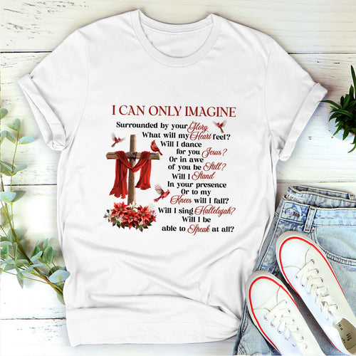 I Can Only Imagine 2 | 2D Unisex T-shirt
