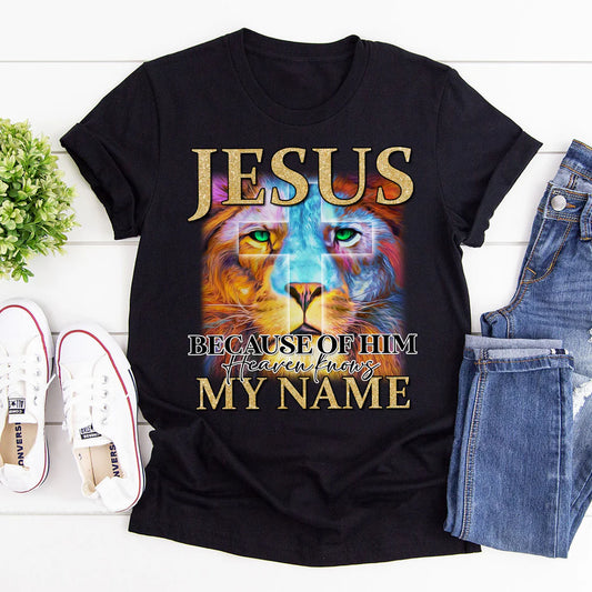 Jesus Because Of Him Heaven, Knows My Name | 2D Unisex T-shirt