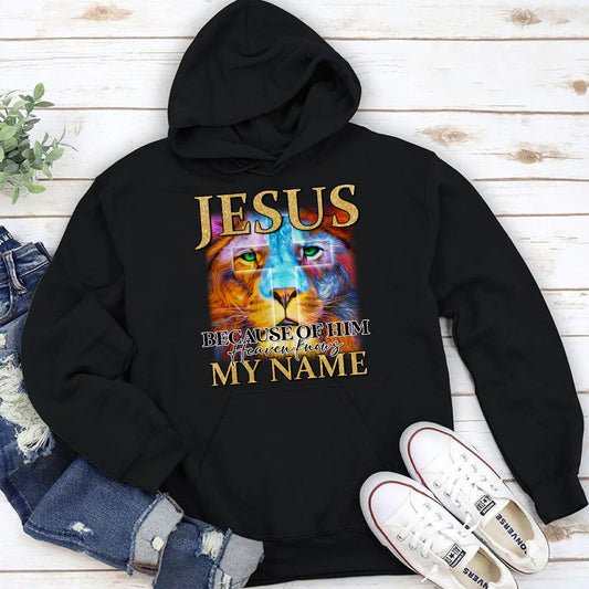 Jesus Because Of Him, Heaven Knows My Name | 2D Unisex Hoodie