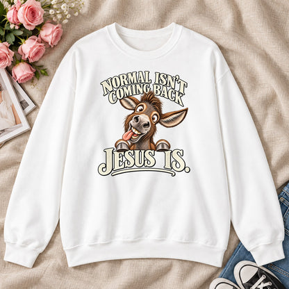 Normal Isn't Coming Back Jesus Is, Gift For Funny Christians - 2D Unisex Sweatshirt