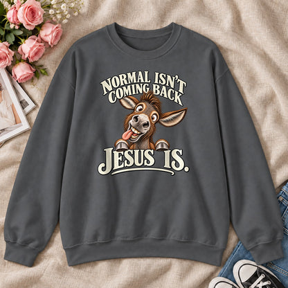 Normal Isn't Coming Back Jesus Is, Gift For Funny Christians - 2D Unisex Sweatshirt