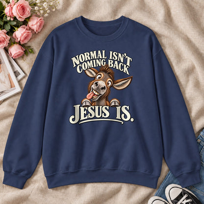 Normal Isn't Coming Back Jesus Is, Gift For Funny Christians - 2D Unisex Sweatshirt