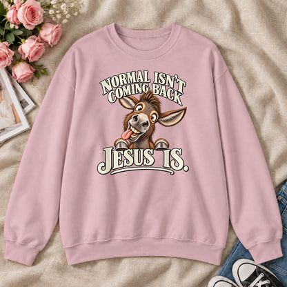 Normal Isn't Coming Back Jesus Is, Gift For Funny Christians - 2D Unisex Sweatshirt