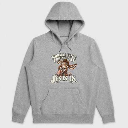 Normal Isn't Coming Back Jesus Is, Gift For Christian Believers - 2D Unisex Hoodie