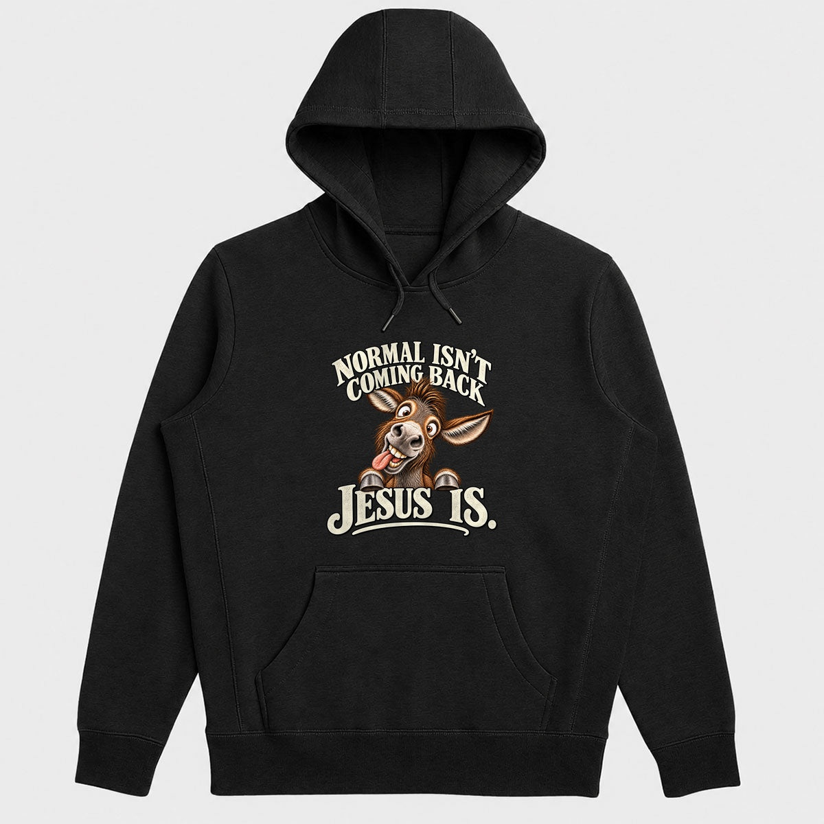 Normal Isn't Coming Back Jesus Is, Gift For Christian Believers - 2D Unisex Hoodie