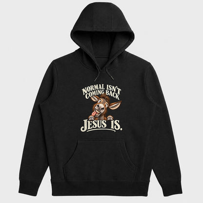 Normal Isn't Coming Back Jesus Is, Gift For Christian Believers - 2D Unisex Hoodie