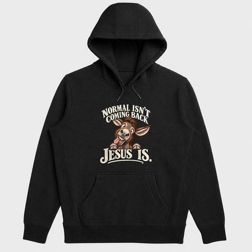Normal Isn't Coming Back Jesus Is, Gift For Christian Believers - 2D Unisex Hoodie