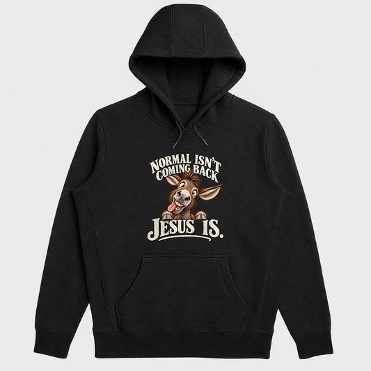 Normal Isn't Coming Back Jesus Is, Gift For Christian Believers - 2D Unisex Hoodie