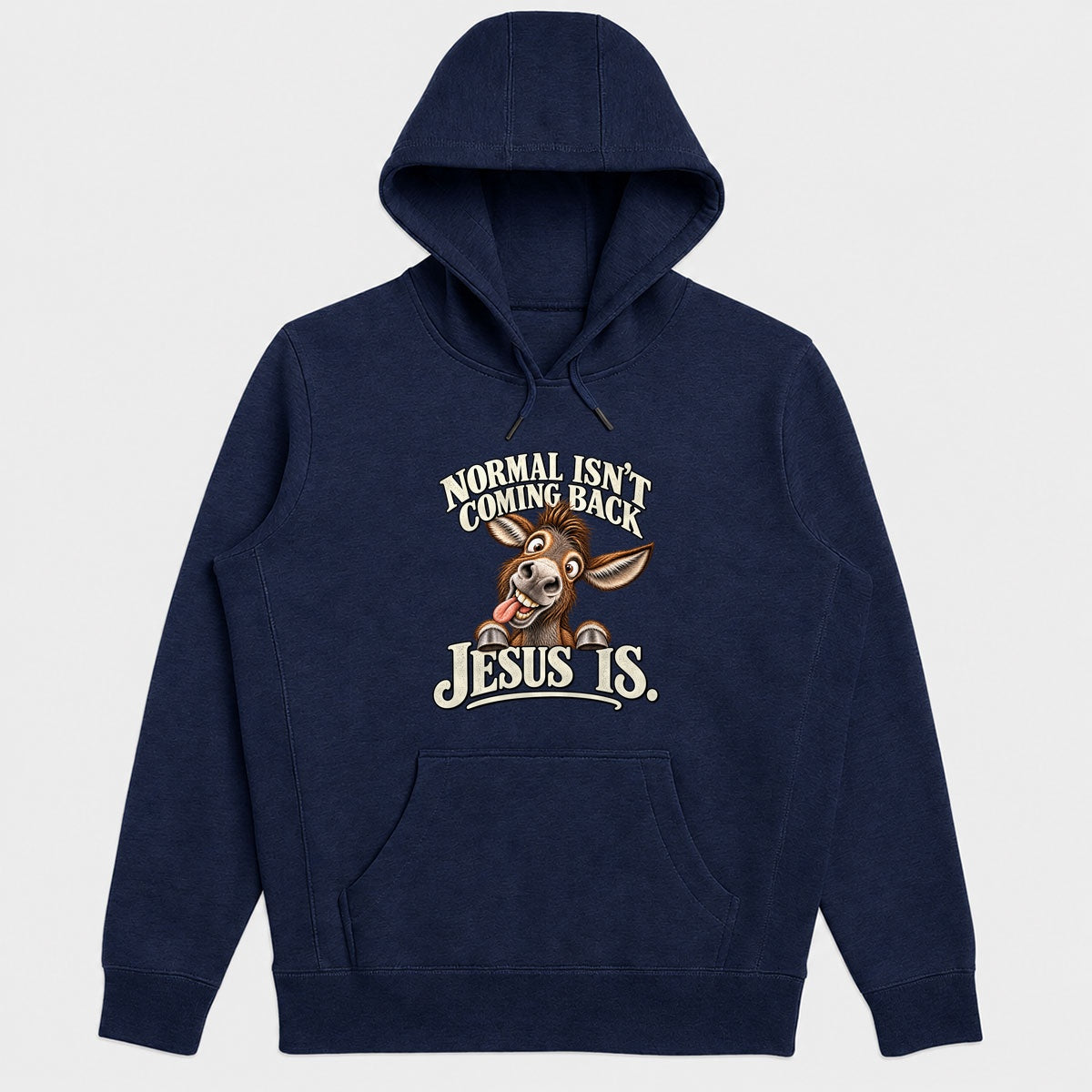 Normal Isn't Coming Back Jesus Is, Gift For Christian Believers - 2D Unisex Hoodie