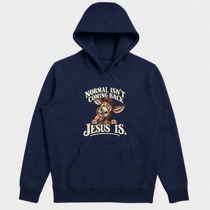 Normal Isn't Coming Back Jesus Is, Gift For Christian Believers - 2D Unisex Hoodie