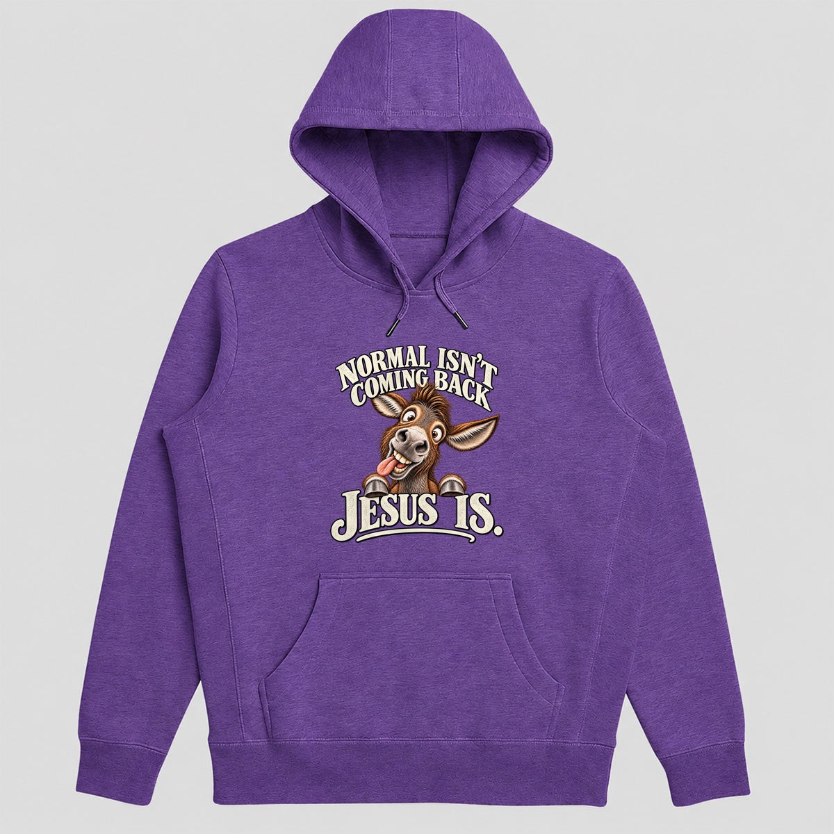 Normal Isn't Coming Back Jesus Is, Gift For Christian Believers - 2D Unisex Hoodie