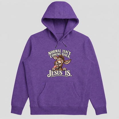 Normal Isn't Coming Back Jesus Is, Gift For Christian Believers - 2D Unisex Hoodie