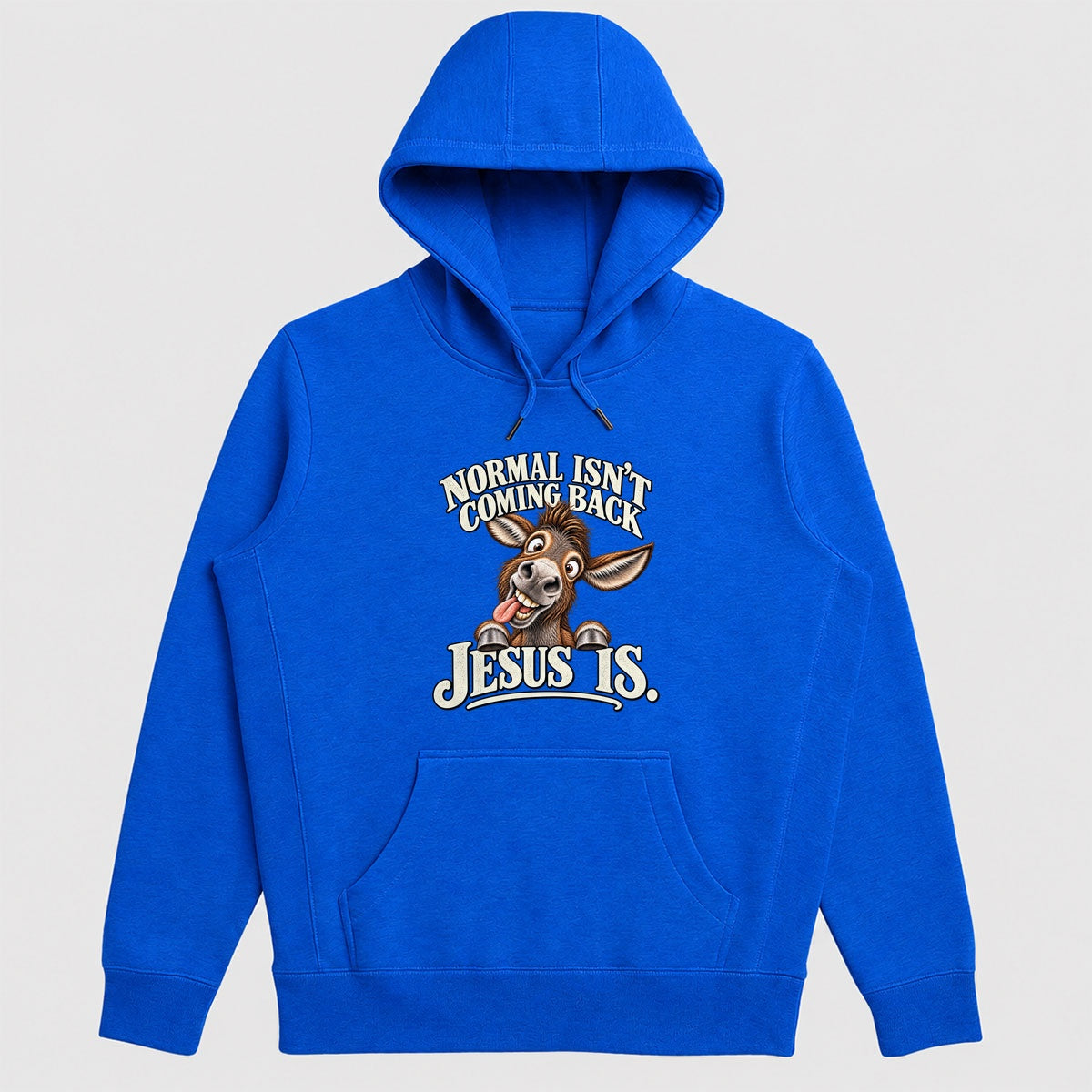 Normal Isn't Coming Back Jesus Is, Gift For Christian Believers - 2D Unisex Hoodie