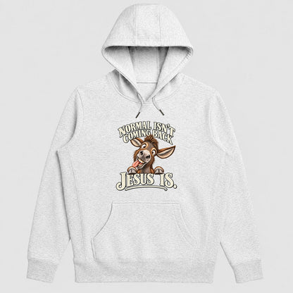 Normal Isn't Coming Back Jesus Is, Gift For Christian Believers - 2D Unisex Hoodie
