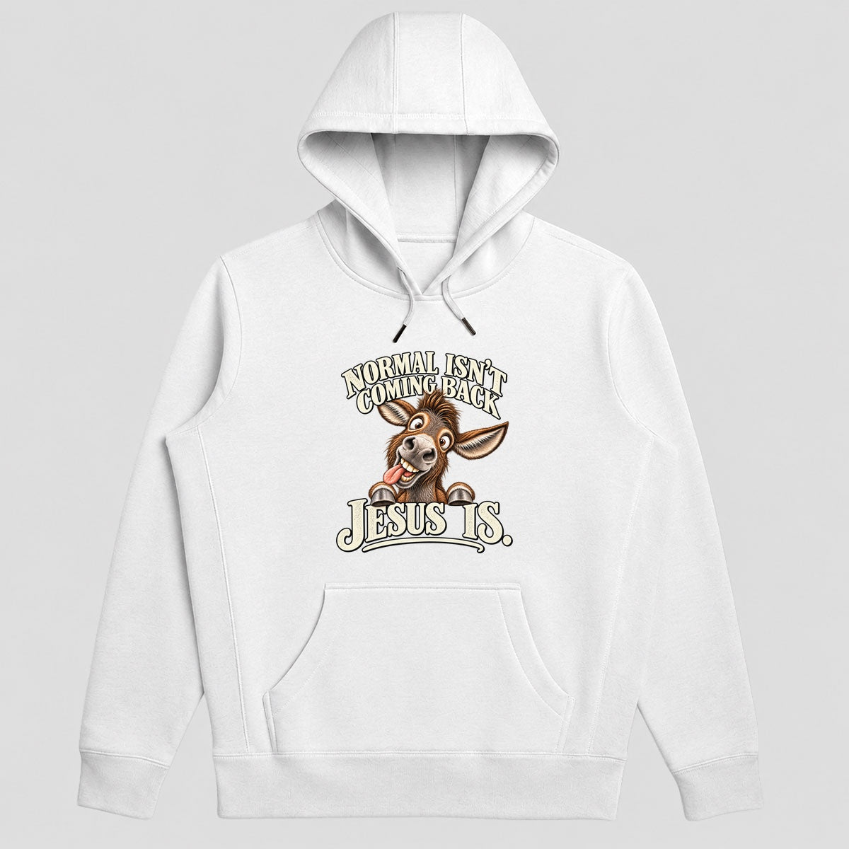 Normal Isn't Coming Back Jesus Is, Gift For Christian Believers - 2D Unisex Hoodie
