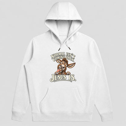 Normal Isn't Coming Back Jesus Is, Gift For Christian Believers - 2D Unisex Hoodie