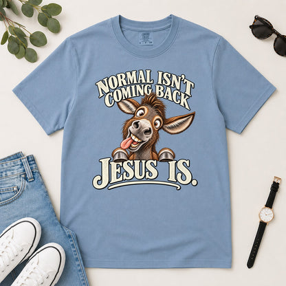 Normal Isn't Coming Back Jesus Is, Revelation 22:12, Funny Christian Gift For Donkey Lovers | 2D Unisex Garment-dyed T-shirt