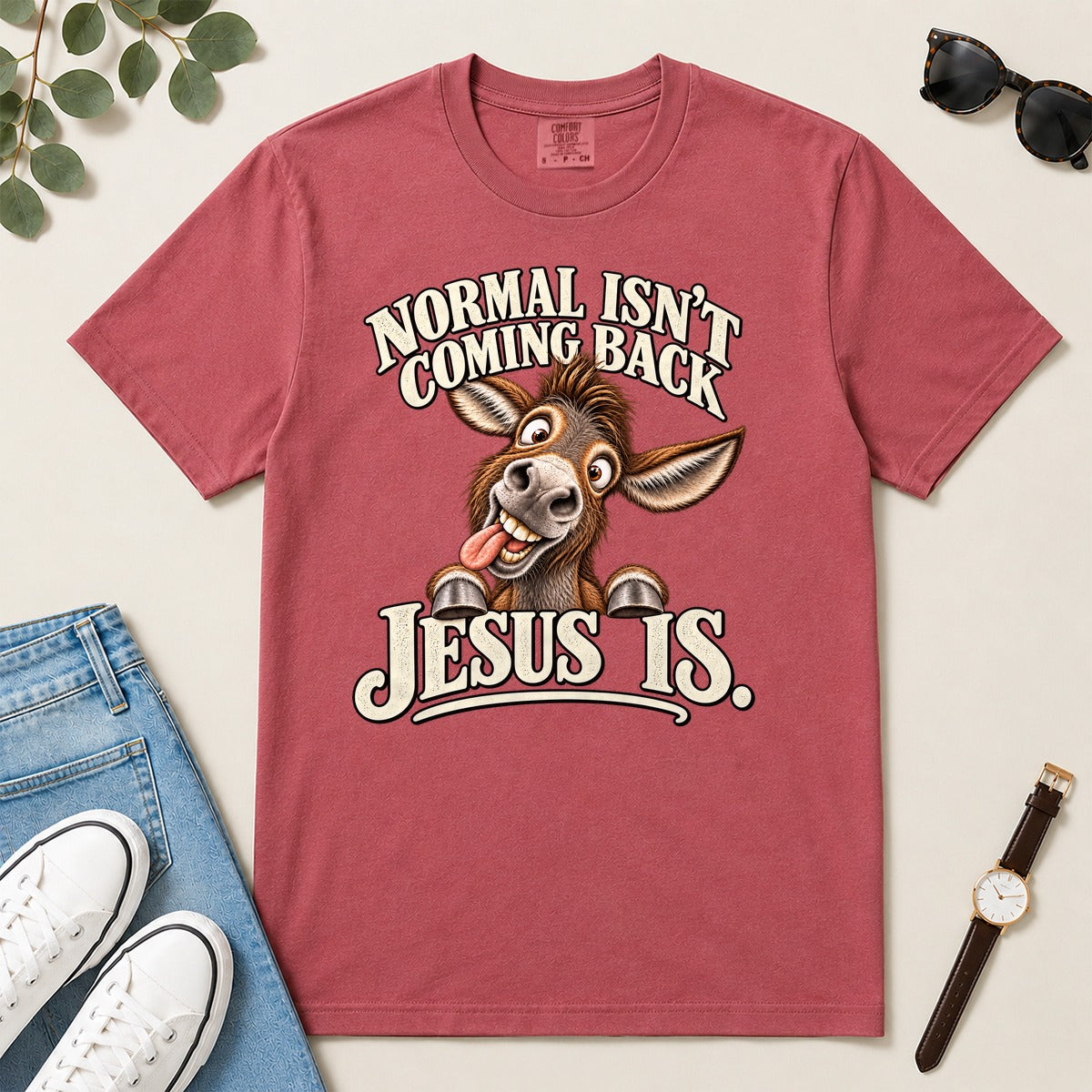Normal Isn't Coming Back Jesus Is, Revelation 22:12, Funny Christian Gift For Donkey Lovers | 2D Unisex Garment-dyed T-shirt