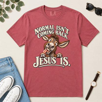 Normal Isn't Coming Back Jesus Is, Revelation 22:12, Funny Christian Gift For Donkey Lovers | 2D Unisex Garment-dyed T-shirt