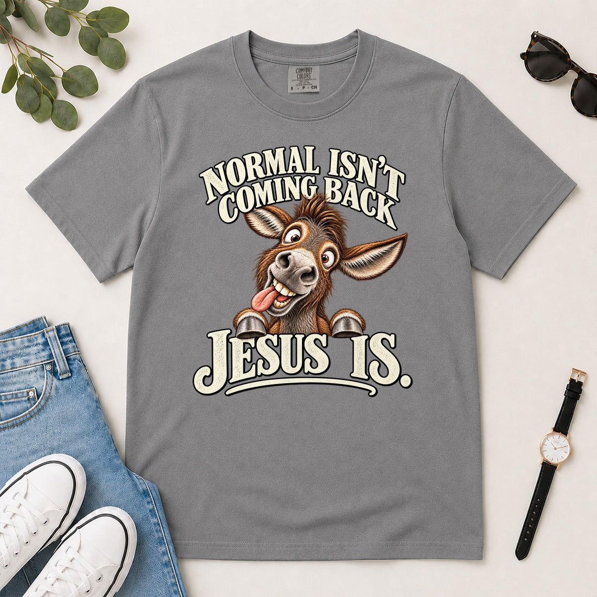 Normal Isn't Coming Back Jesus Is, Revelation 22:12, Funny Christian Gift For Donkey Lovers | 2D Unisex Garment-dyed T-shirt