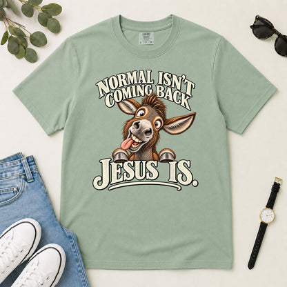 Normal Isn't Coming Back Jesus Is, Revelation 22:12, Funny Christian Gift For Donkey Lovers | 2D Unisex Garment-dyed T-shirt