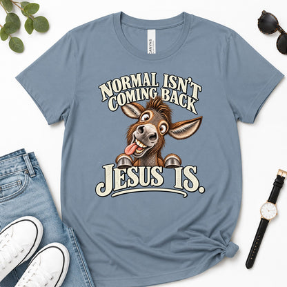 Normal Isn't Coming Back Jesus Is, Revelation 22:12, Funny Christian Gift For Donkey Lovers | 2D Unisex Premium T-shirt