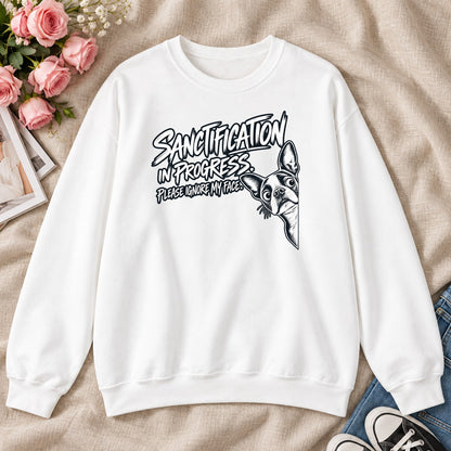 Sanctification In Progressm Gift For Christian Boston Terrier Lovers - 2D Unisex Sweatshirt