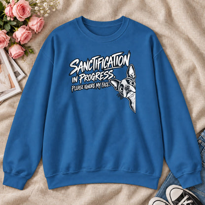 Sanctification In Progressm Gift For Christian Boston Terrier Lovers - 2D Unisex Sweatshirt