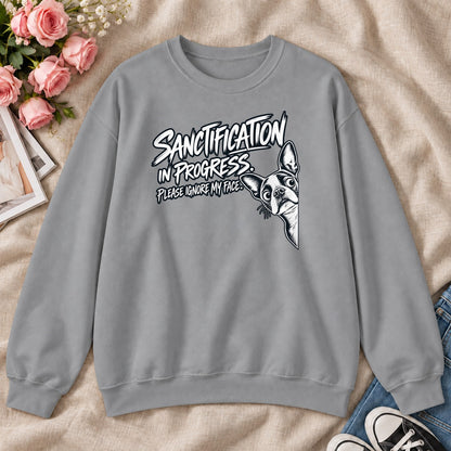 Sanctification In Progressm Gift For Christian Boston Terrier Lovers - 2D Unisex Sweatshirt