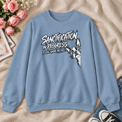 Sanctification In Progressm Gift For Christian Boston Terrier Lovers - 2D Unisex Sweatshirt