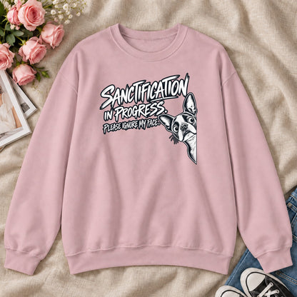 Sanctification In Progressm Gift For Christian Boston Terrier Lovers - 2D Unisex Sweatshirt