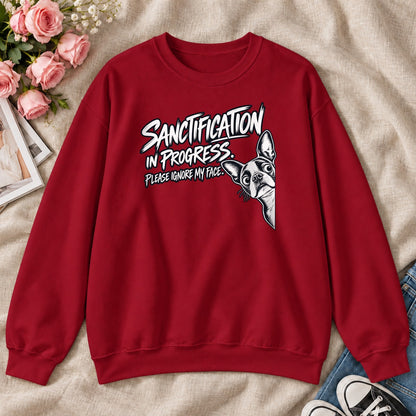 Sanctification In Progressm Gift For Christian Boston Terrier Lovers - 2D Unisex Sweatshirt