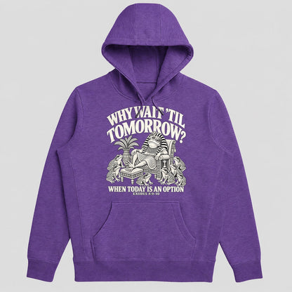 Why Wait Til Tomorrow When Today Is An Option, Exodus 8:9-10, Gift For Christian Procrastinators - 2D Unisex Hoodie
