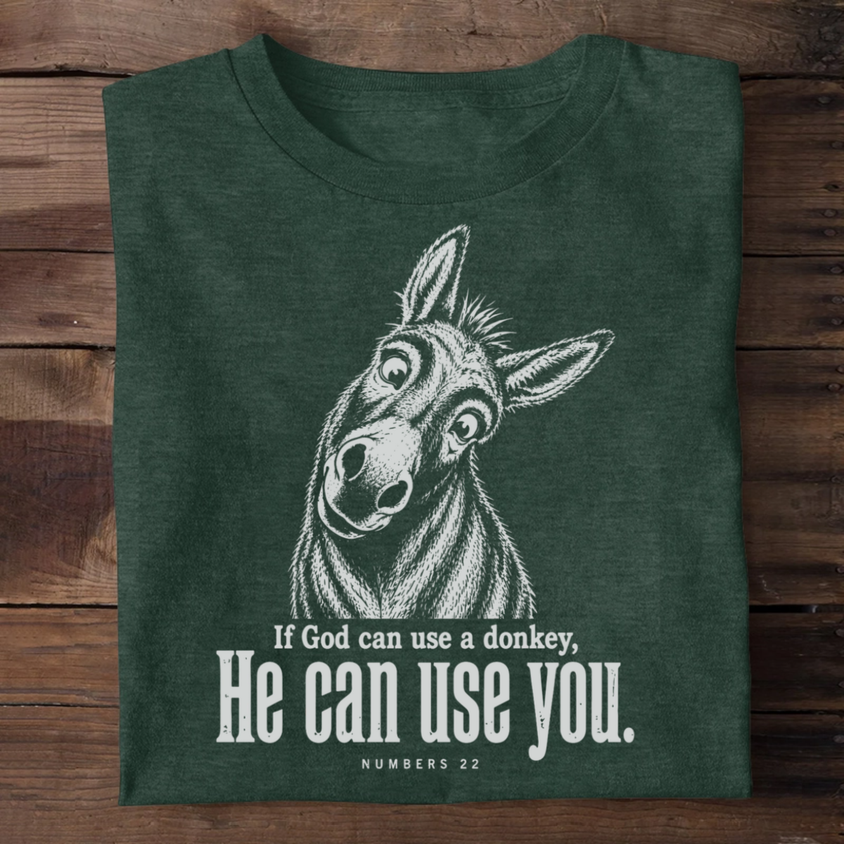 If God Can Use A Donkey Numbers 22, Christian Gift | 2D Unisex T-shirt